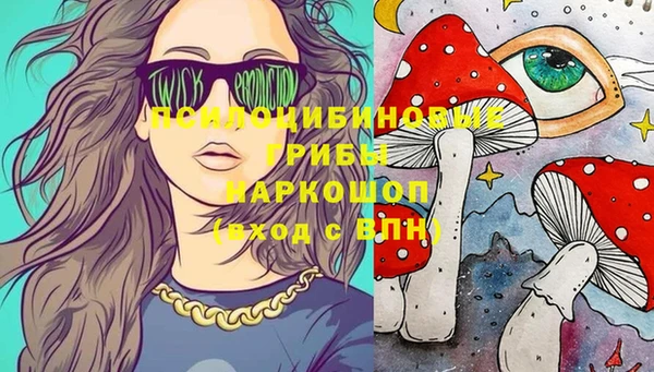 PSILOCYBIN Коряжма