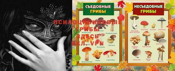 PSILOCYBIN Коряжма